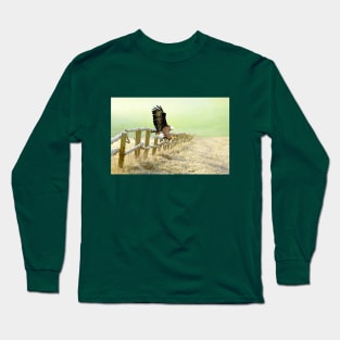 The Bald Eagle is Landing Long Sleeve T-Shirt